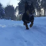 Spichlerz ホームステイ