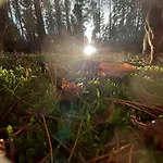 Spichlerz リジェボ