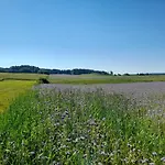 Spichlerz