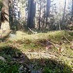 Spichlerz ホームステイ リジェボ