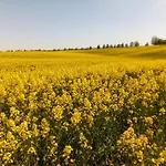 Spichlerz * リジェボ