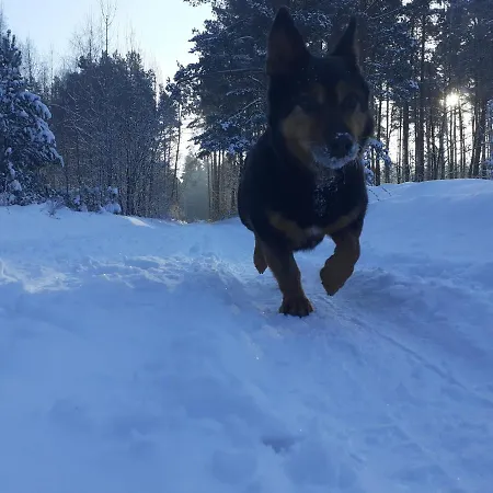 Spichlerz Ubytování v soukromí