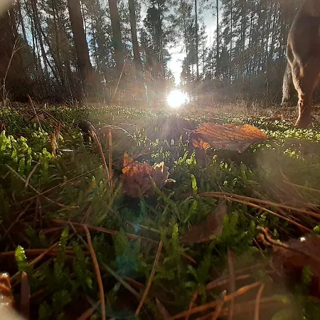 Spichlerz Rydzewo (Gizycko)