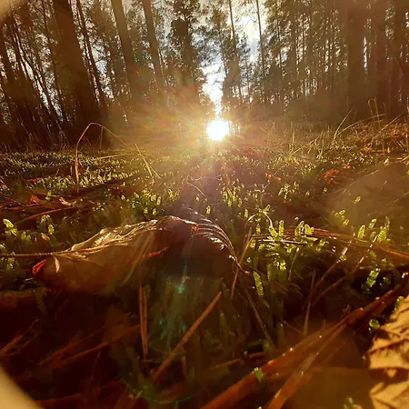 Spichlerz Ubytování v soukromí *