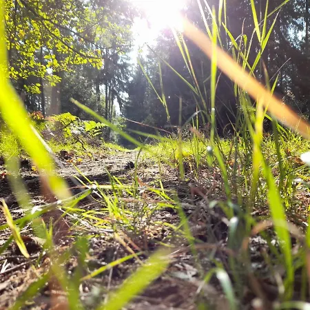 Spichlerz Ubytování v soukromí Rydzewo (Gizycko)