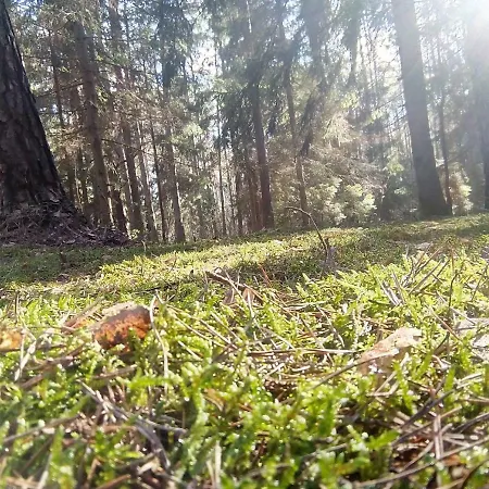 Ubytování v soukromí Spichlerz