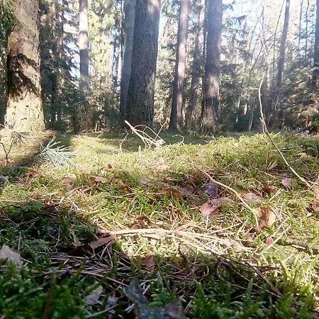 Spichlerz Kwatera prywatna Rydzewo