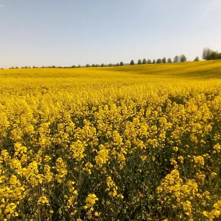 Spichlerz * Rydzewo (Gizycko)